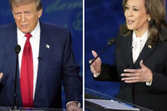 Harris accused Trump of trying to "divide" Americans by making her an issue of race.