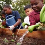 An oasis for children to learn about the climate, surrounded by trees, flower beds and herbs