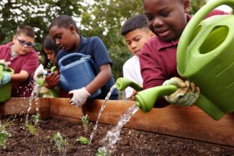 An oasis for children to learn about the climate, surrounded by trees, flower beds and herbs